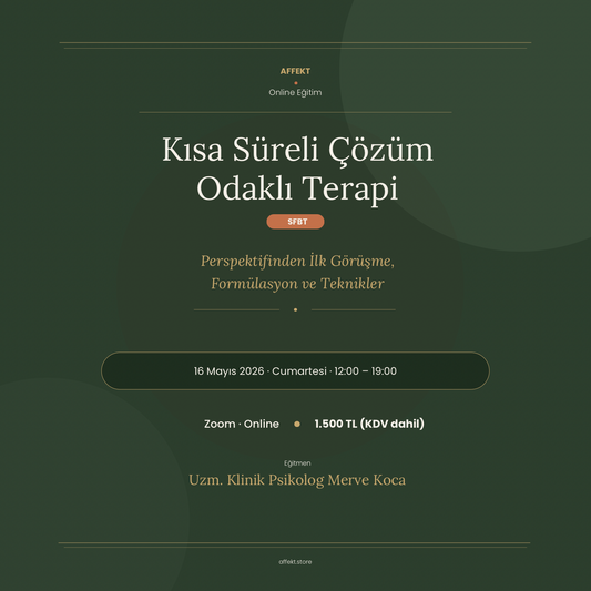 Kısa Süreli Çözüm Odaklı Terapi (SFBT) Perspektifinden: İlk Görüşme, Formülasyon ve Teknikler