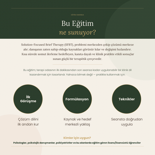Kısa Süreli Çözüm Odaklı Terapi (SFBT) Perspektifinden: İlk Görüşme, Formülasyon ve Teknikler